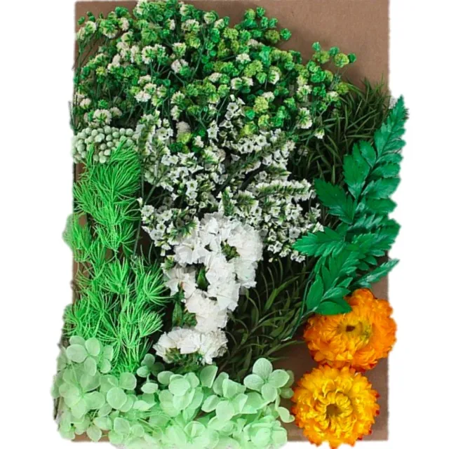 【A-ONE 匯旺】天然乾燥花 植物果實 拍照道具 花材 花藝材料包 浮游花 永生花 浮油花 乾花 乾燥花材(C11)