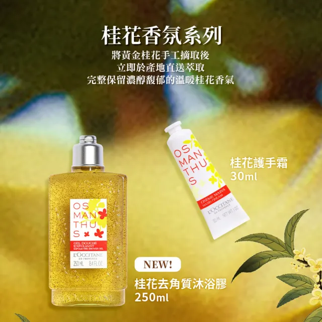 【L’Occitane 歐舒丹】官方直營 桂花護手霜30ml