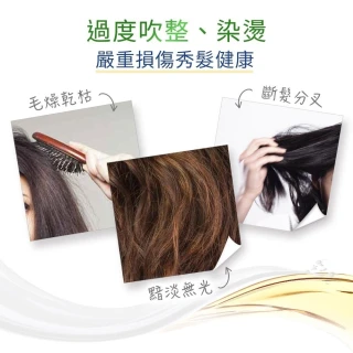 【Dove 多芬】一分鐘護髮精華180mlx3入(深層修護/輕潤保濕/防斷修護)