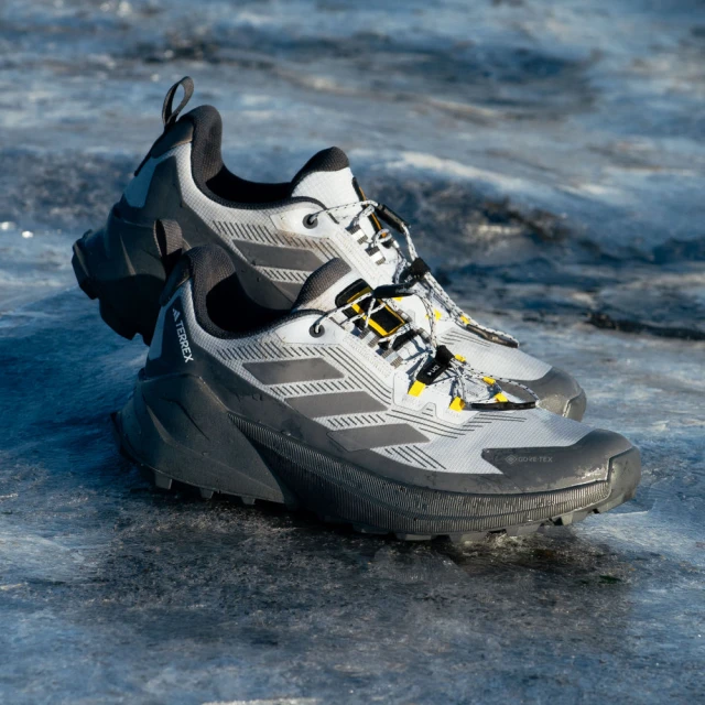 adidas 愛迪達 TERREX AX4 GORE-TEX