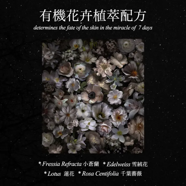 【aiedo】奇蹟白松露亮顏濕紙巾