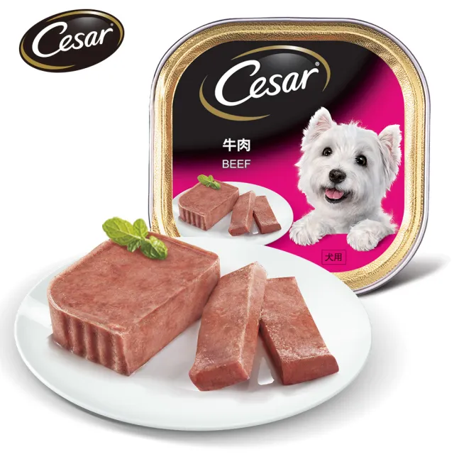 【Cesar 西莎】經典風味餐盒 100g*24入 寵物/狗罐頭/狗食