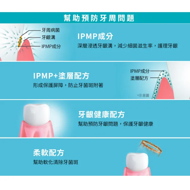 【LION 獅王】細潔浸透護齦EX牙膏-溫和草本/清涼薄荷(3入組)