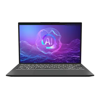 【MSI 微星】13吋 Ultra9-288V AI輕薄商務筆電(Prestige 13 AI+ Evo/32G/1TB SSD/W11P/A2VMG-011TW)