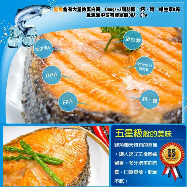 【鮮綠生活】智利頂級鮭魚切片 14包(220g±10%/包)