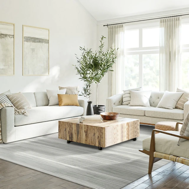 SDL Home 山德力SDL Home 山德力 簡約風地毯 240X340cm杰安(大尺寸 灰色系 現代線條)