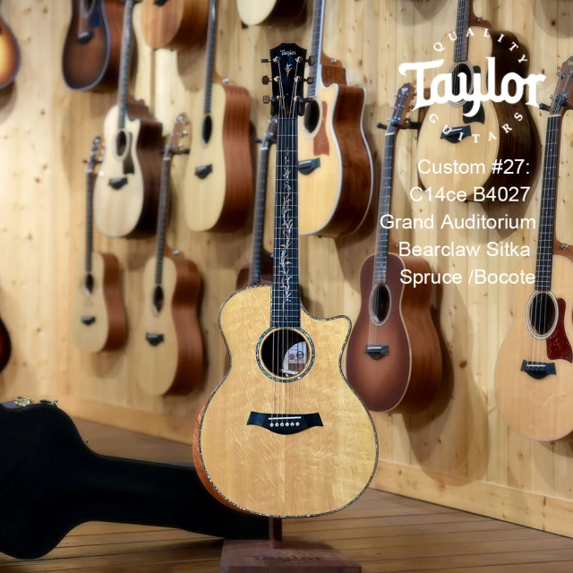 Taylor Taylor Custom GA 2024年第14號 全單板 電木吉他 ES-2拾音器 V-Class