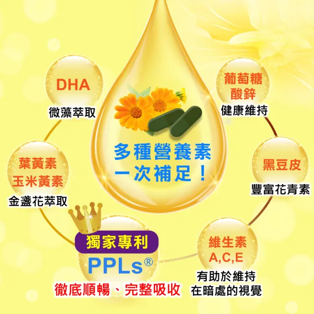 高群代言正宗PPLs超視王