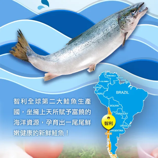 【愛上海鮮】鮮凍智利鮭魚菲力6包組(180g±10%/包)