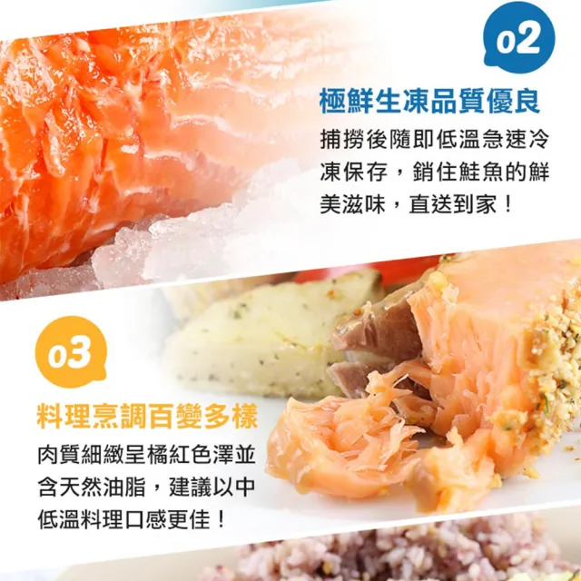 【愛上海鮮】鮮凍智利鮭魚菲力9包組(180g±10%/包)