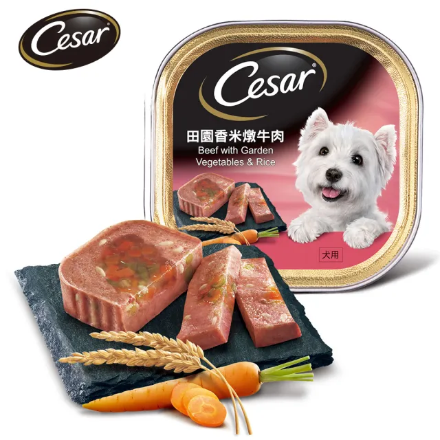 【Cesar西莎】經典風味餐盒 100g*48入 寵物/狗罐頭/狗食(任選)