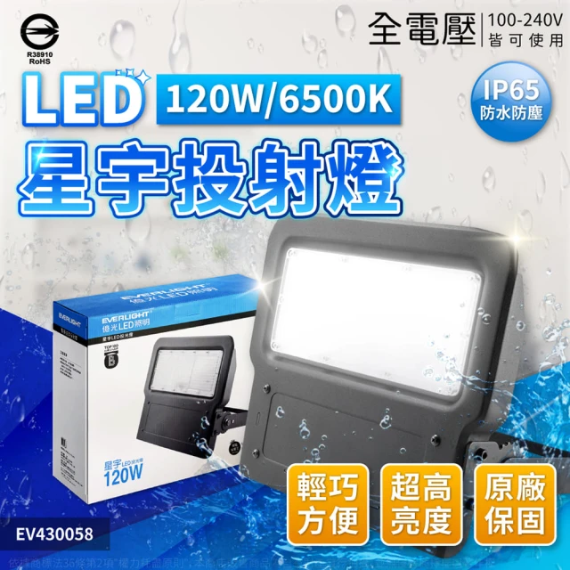 Everlight 億光 120W 星宇 投光燈 防水防塵 IP65 全電壓(戶外 防水 投光燈)