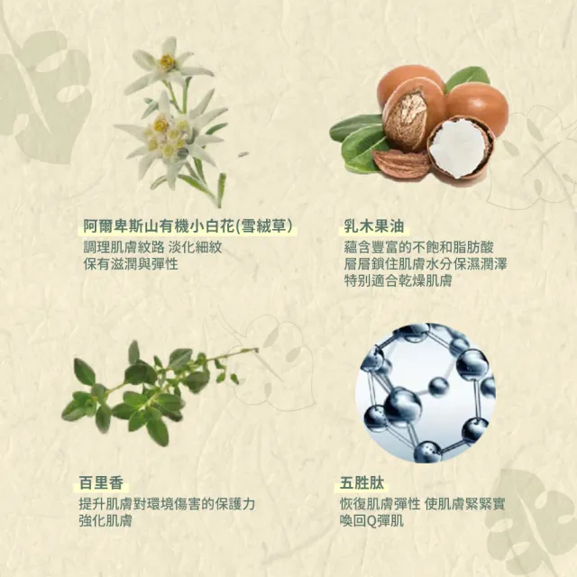 【b.Aromma貝羅馬】美胸深層修護霜380ml(按摩霜)