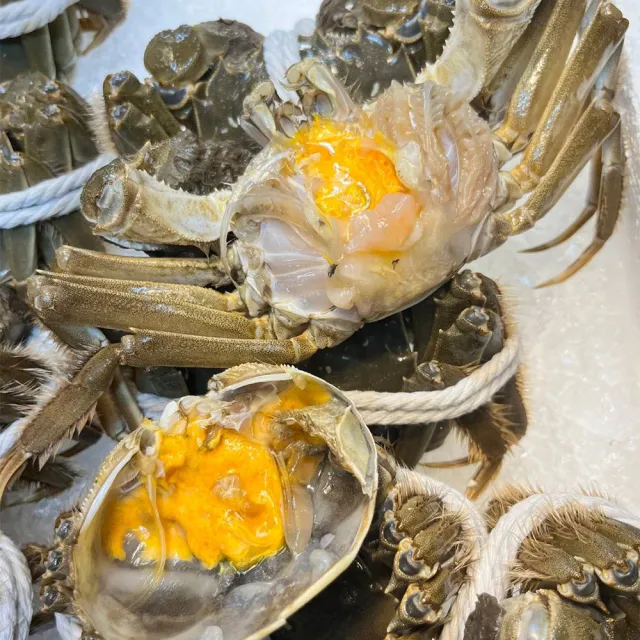 【華得水產】保證活蟹直送嚴 江蘇大閘蟹(公蟹_4隻_6-6.5兩/隻-接單11/20日止)