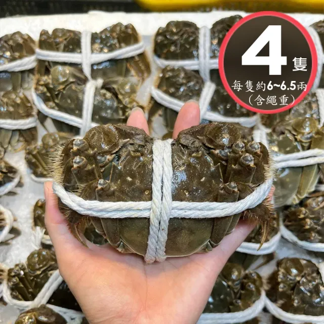 【華得水產】保證活蟹直送嚴 江蘇大閘蟹(公蟹_4隻_6-6.5兩/隻-接單11/20日止)