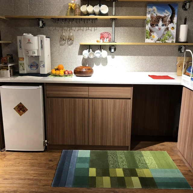 SDL Home 山德力 ESPRIT Lakeside地毯 80X180cm-ESP-3310-03(綠色 柔軟 生活美學)