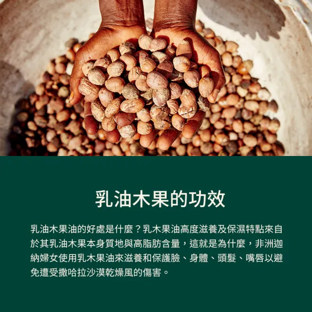 【THE BODY SHOP 美體小舖】乳油木果豐盈洗髮精-400ML