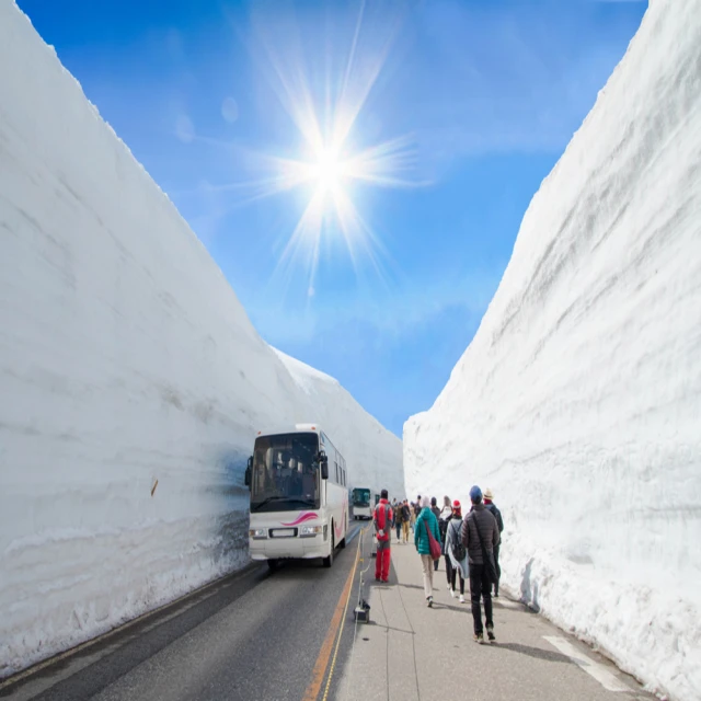 喜鴻假期 【立山黑部．雪牆絕景７日】白川鄉合掌村、富士芝櫻祭、御岳昇仙峽、上高地、彥根城