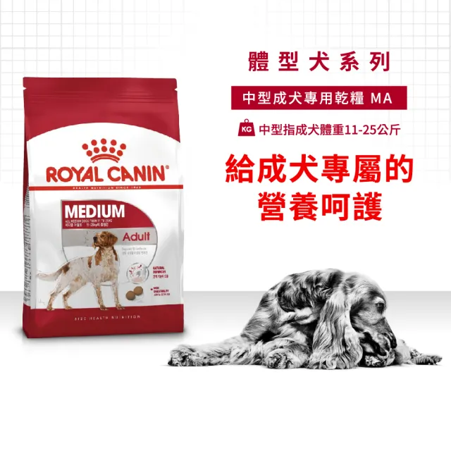 【ROYAL 法國皇家】中型成犬專用飼料 MA 10KG(狗乾糧 狗飼料)