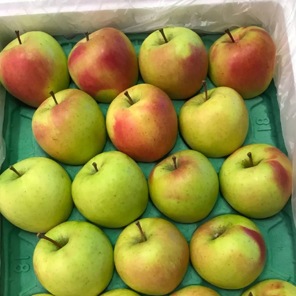 WANG 蔬果】日本青森名月蜜蘋果32粒頭10顆x1盒(320g/顆_禮盒組) - momo