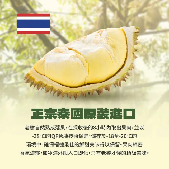 泰國直送40年老欉頂級金枕頭榴槤
