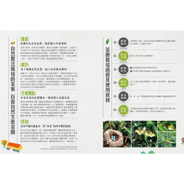 【百香】綠茶三角立體茶包3gx16入 1罐 自然農法 茶包(100%台灣茶 百香茶葉 綠茶 茶包 年節送禮)