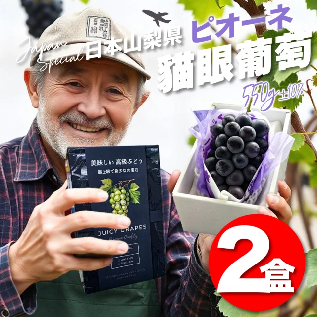 匯通-高雄燕巢雪蜜蜜棗5斤(約20~22顆/箱 產銷履歷)好