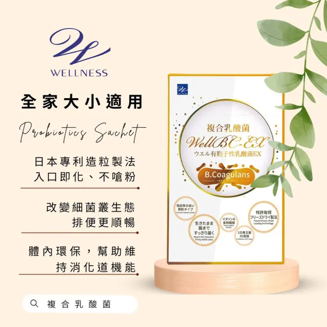 【Wellness】WellBC-EX複合乳酸菌-3入組(共180包 幫助維持消化道機能 芽孢乳酸菌 常溫保存 一餐一包)