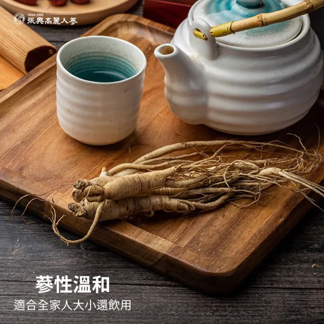 【振興高麗人蔘】高麗天紅蔘茶 100入禮盒(哈囉高麗蔘茶-咖啡因掰掰-)