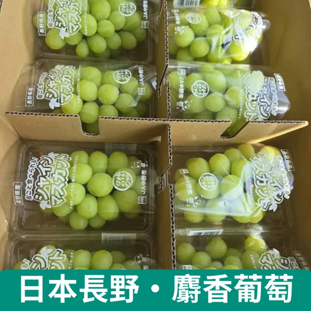 黑貓嚴選 苗栗卓蘭 新興梨禮盒14A 8入(3920g/盒)