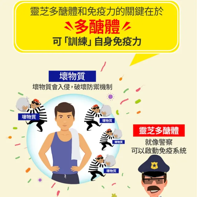 【葡萄王】認證靈芝 x1瓶 共60粒(國家調節免疫力健康食品認證 靈芝多醣12% 葡萄王官方)