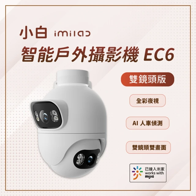 (256G記憶卡組) TP-Link Tapo C420S2