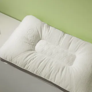 【特力屋】石墨烯天絲可水洗止鼾枕