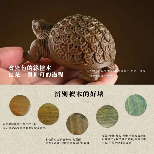 【文玩家居】綠檀木雕金錢龜招財風水擺件(實木 招財 開運 長壽龜 聚福 開店 開業 辦公室 除舊佈新 禮物)