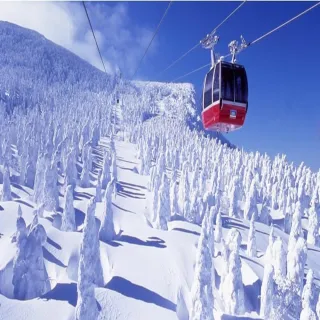 【喜鴻假期】【東北藏王樹冰７日】湯西川雪屋點燈祭、銀山溫泉、採草莓、藏王狐狸村、玩雪趣