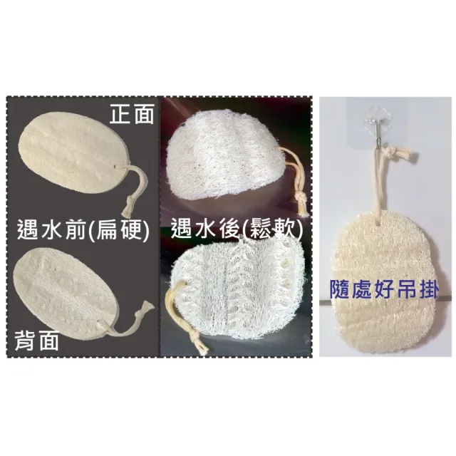 【Sophie Savon 蘇菲皂】家事用絲瓜絡片3入(天然絲瓜絡/家事用 加大版 蔬果食器/廚房衛浴 可吊掛 無毒環保)