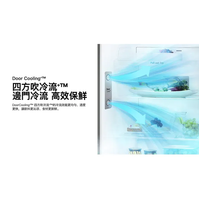 【LG 樂金】17公斤+332公升〔1+1超值組〕(WT-VDN17M+GN-L332BS)