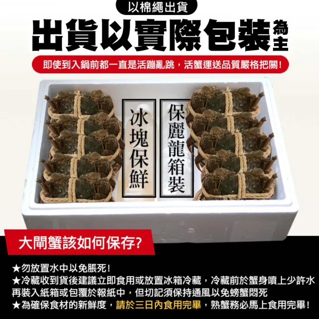 【築地一番鮮】巨大AA當令鮮活江南大閘蟹7隻組(6兩/隻-加贈蟹工具組)