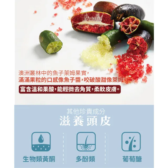 【古寶無患子】買1送1 頭皮淨化深層洗淨液120g(角質代謝/頭皮洗淨/去屑舒緩)