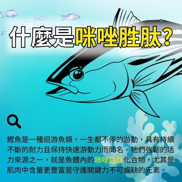 【亞洲健康王】AHA關捷挺固立30g 葷食 共30瓶(D3 MSM 郭子乾白冰冰雙推)