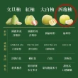 【e果園】台南麻豆特選-西施柚10台斤/箱x2箱(約5-6大顆/箱x2箱)