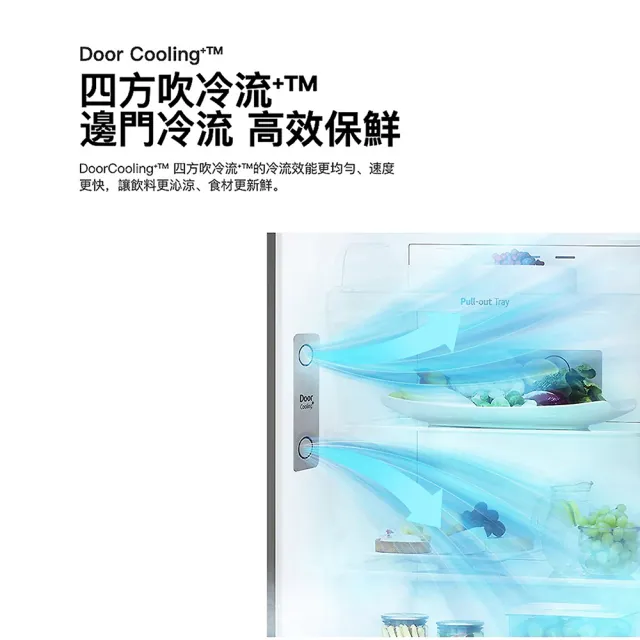 【LG 樂金】21公斤+217公升〔1+1超值組〕(WT-VD21HB+GV-L217SV)