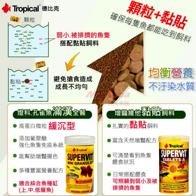 【Tropical 德比克】增豔維他黏貼飼料 340錠/不易污染水質天然增豔配方(燈科孔雀異型熱帶魚適用20624)