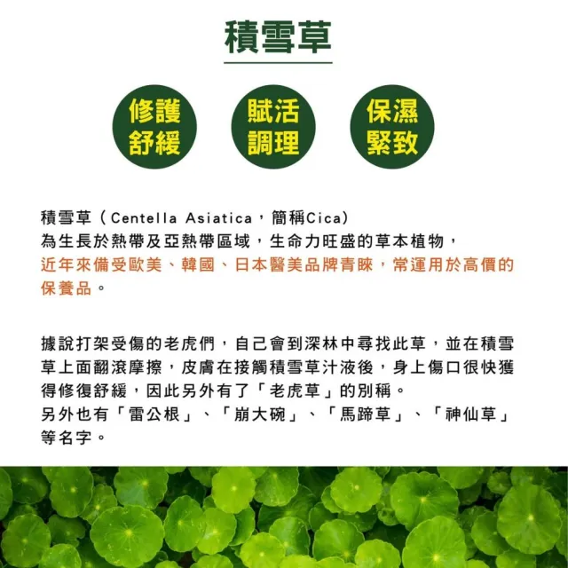 【王大夫一條根】一條根滾珠精油露10ml(抹草)
