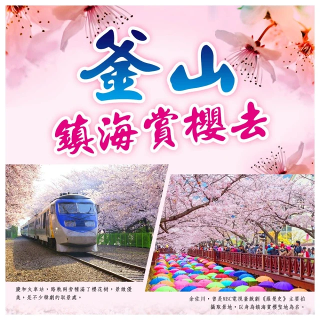 順怡旅遊 鎮海享櫻情5天(德威航空 & 真航空)