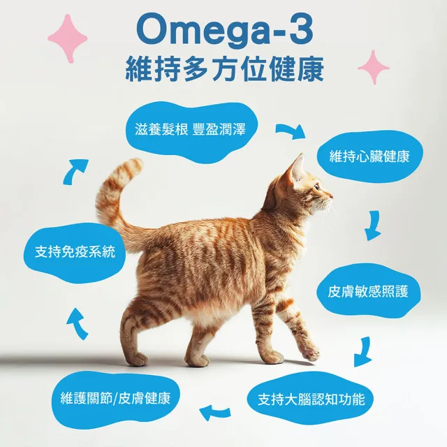 【IN-Plus】貓用 完整型機能魚油軟嚼錠 90顆 (挪威鮭魚油 蛋殼膜 CoQ10 酵母鋅 寵物魚油)