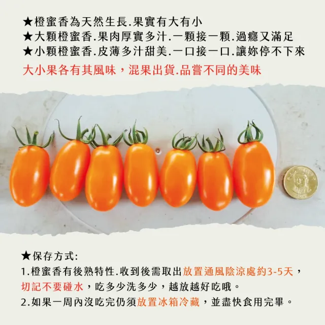 【初品果】宋媽媽橙蜜香小番茄禮盒3斤x1盒(年節禮盒_高雄美濃_產地直送_季節限定)