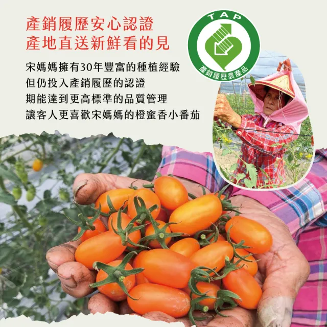 【初品果】宋媽媽橙蜜香小番茄禮盒3斤x2盒(年節禮盒__高雄美濃_產地直送_季節限定)