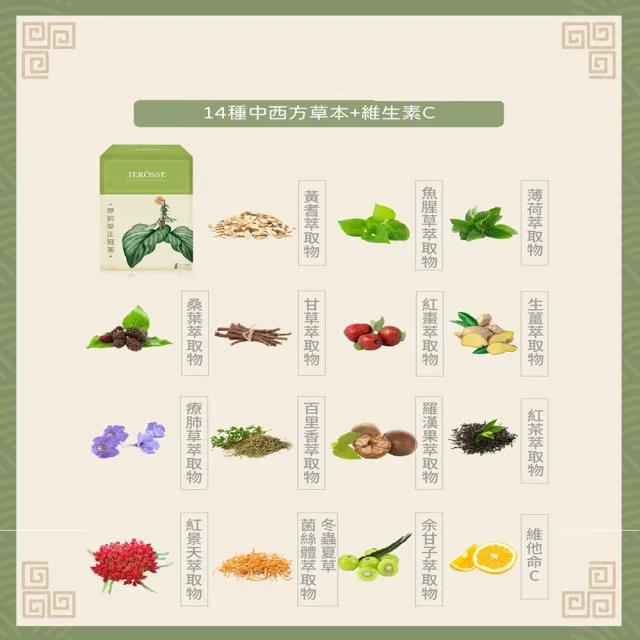 【JEROSSE 婕樂纖】療肺草正冠茶X5盒/100包(14種中草本配方.好舒暢)
