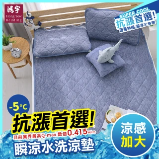 【HongYew 鴻宇】涼感-5度C 瞬涼可洗抗菌 保潔墊(雙人加大)